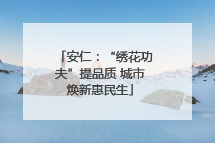 安仁：“绣花功夫”提品质 城市焕新惠民生